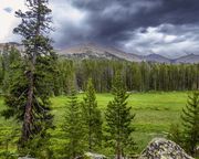 Storm Clouds . Photo by Dave Bell.