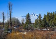 Winter Scene. Photo by Dave Bell.