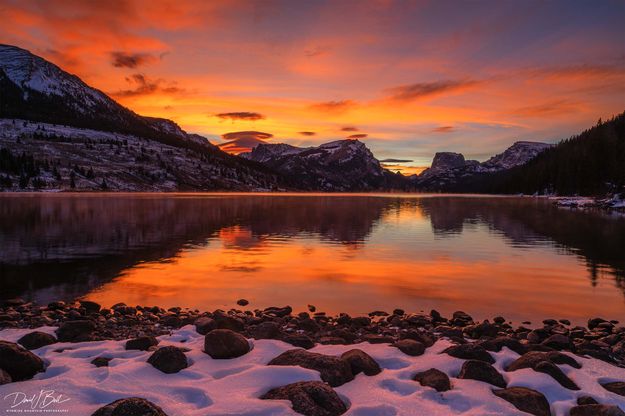 Overwhelming Color. Photo by Dave Bell.