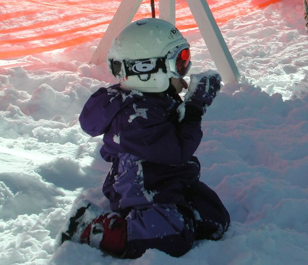 Eating Snow. Photo by Pinedale Online.