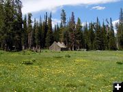 Cow Camp. Photo by Triple Peak.