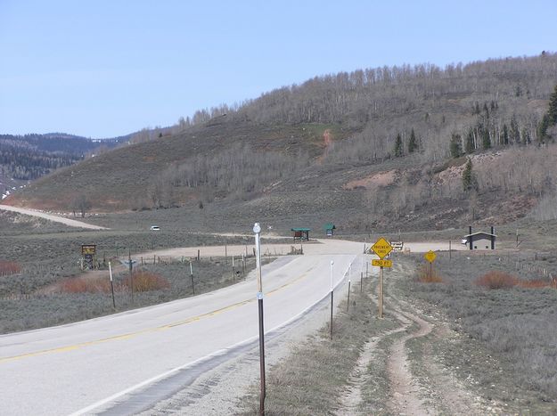 Forest boundary. Photo by Pinedale Online.