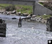 Fishing the Green. Photo by Pinedale Online.