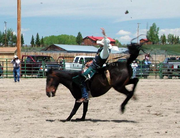 Bareback Rider. Photo by Pinedale Online.