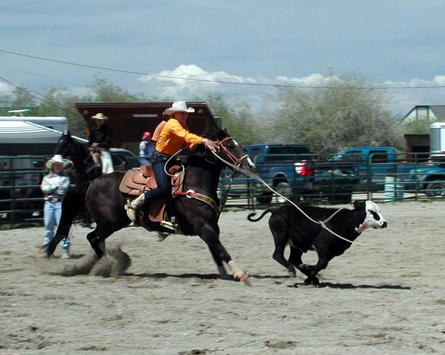 Calf Roper. Photo by Pinedale Online.