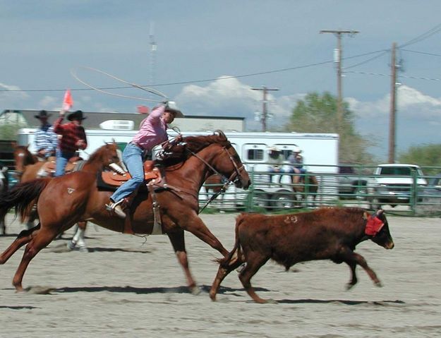 Team Roper. Photo by Pinedale Online.