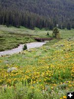 Bridge over Granite Creek. Photo by Pinedale Online.