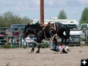 Hard Landing. Photo by Pinedale Online.