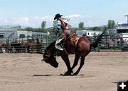 Saddle Bronc Rider. Photo by Pinedale Online.