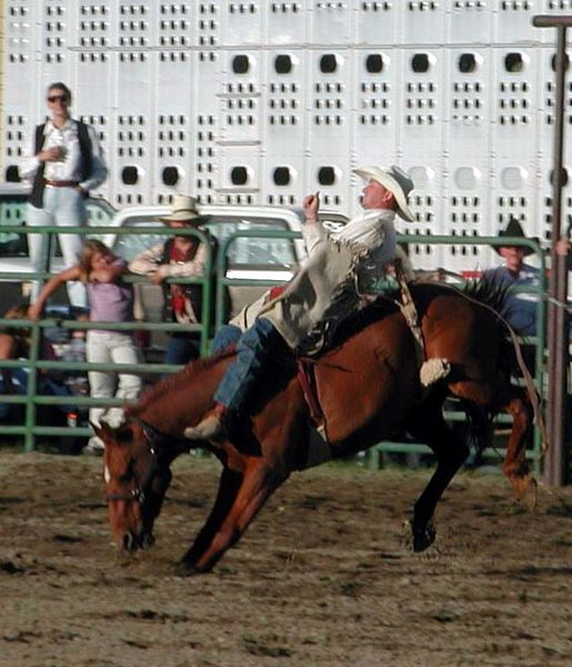 Bareback Ride. Photo by Pinedale Online.