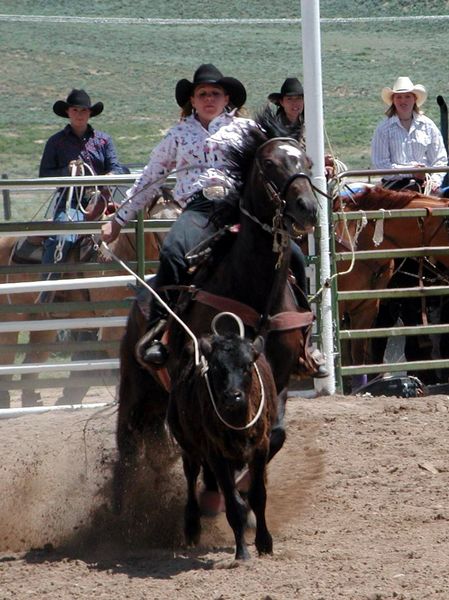 Breakaway Roping. Photo by Pinedale Online.