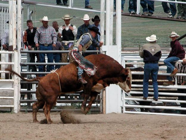 Bull Riding. Photo by Pinedale Online.