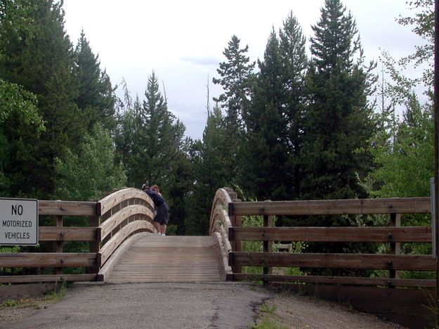 Harmony Bridge. Photo by Pinedale Online.