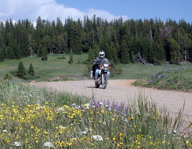 Motorcycle. Photo by Pinedale Online.