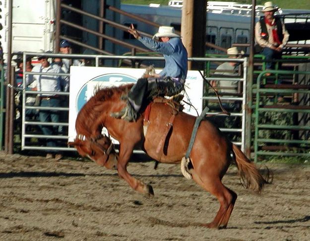 Saddle Bronc Ride. Photo by Pinedale Online.