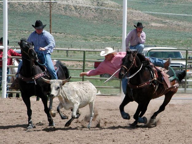 Steer Wrestling. Photo by Pinedale Online.