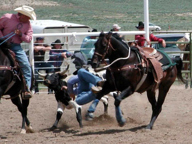 Steer Wrestling. Photo by Pinedale Online.