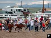 Calf Scramble. Photo by Pinedale Online.