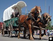 Team and Wagon. Photo by Pinedale Online.