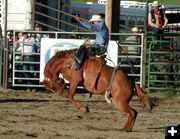 Saddle Bronc Ride. Photo by Pinedale Online.