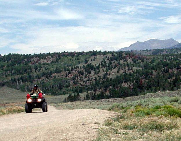 4 Wheeling near Lander Trail. Photo by Pinedale Online.