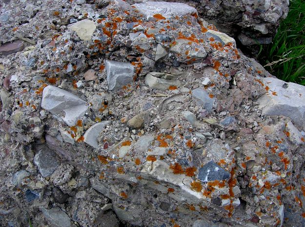 Conglomerate rocks. Photo by Pinedale Online.