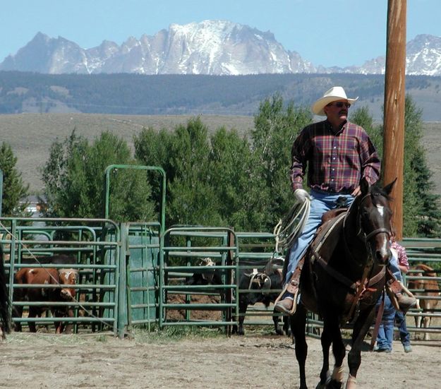 Fremont Cowboy. Photo by Pinedale Online.