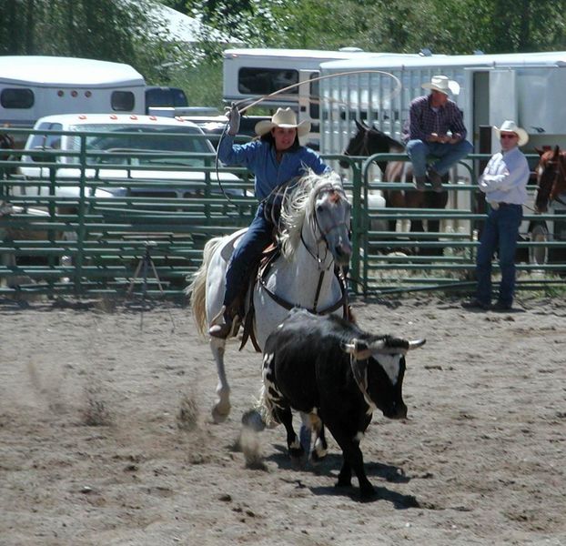 Cowgirl Roper. Photo by Pinedale Online.