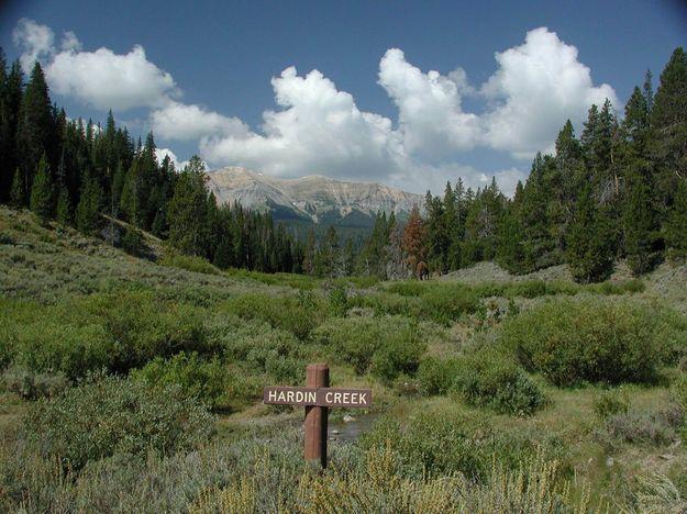 Hardin Creek. Photo by Pinedale Online.