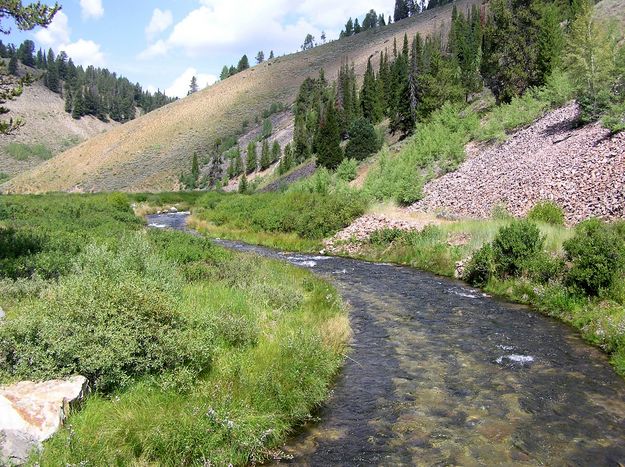 Sheep Creek. Photo by Pinedale Online.