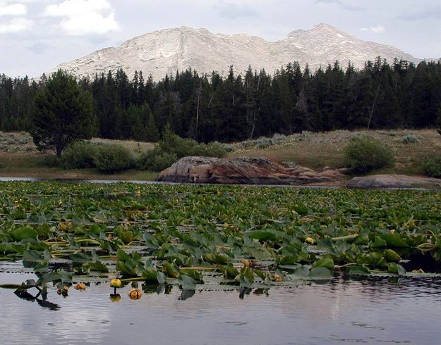 Temple Peak. Photo by Pinedale Online.