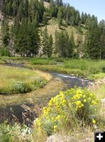 Sheep Creek. Photo by Pinedale Online.