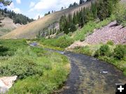 Sheep Creek. Photo by Pinedale Online.