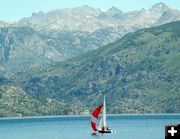 Full Spinaker. Photo by Pinedale Online.