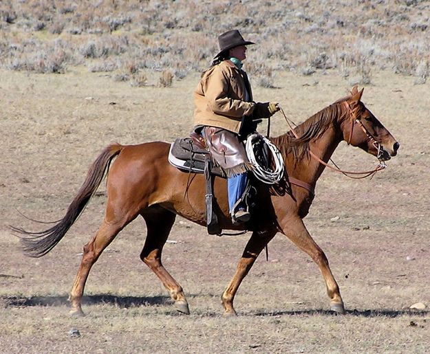 Barry Raper. Photo by Pinedale Online.