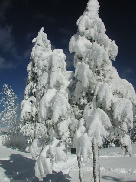 Heavy Snow. Photo by Pinedale Online.