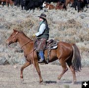 Barry Raper rides for Charles Price. Photo by Pinedale Online.