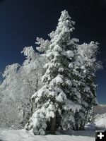 Heavy Snow. Photo by Pinedale Online.