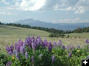 Absaroka Mountains. Photo by Clint Gilchrist, Pinedale Online.