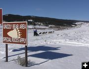 Grizzly bear area. Photo by Dawn Ballou, Pinedale Online.