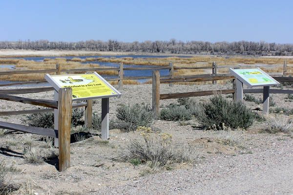 Marsh Overlook. Photo by Pinedale Online.