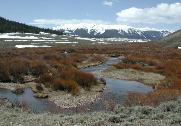 South Cottonwood Creek. Photo by Pinedale Online.