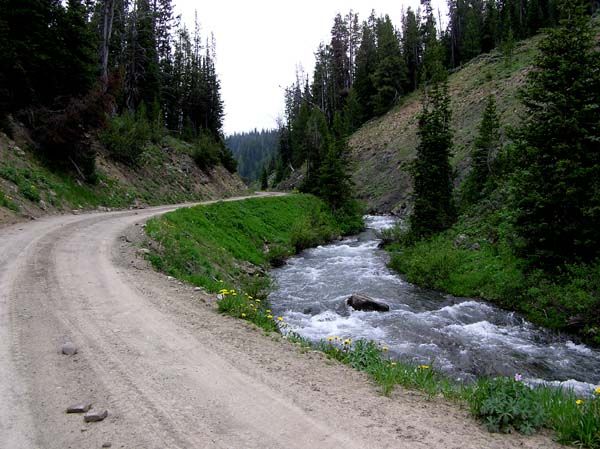 Greys River growing. Photo by Pinedale Online.