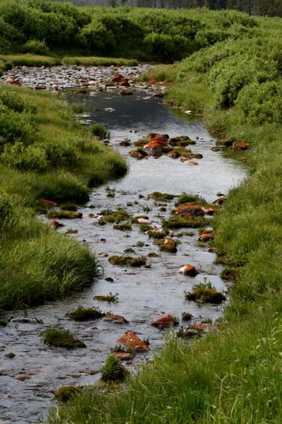 Creek Side Channel. Photo by Pinedale Online.