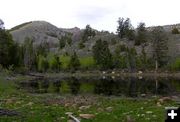 Smalll pond near campground. Photo by Pinedale Online.