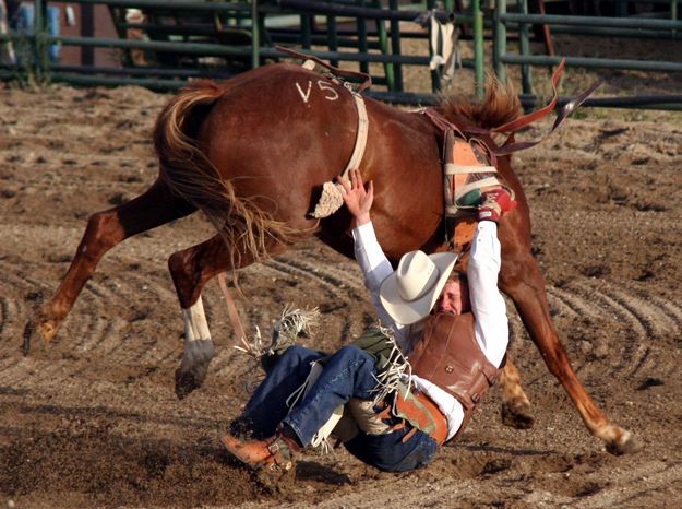 Sam Nelson Hung Up. Photo by Pinedale Online.