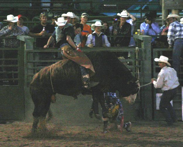 Bull Riding. Photo by Pinedale Online.