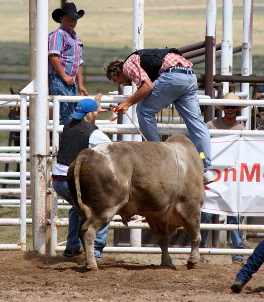 Bull Scramble snatch ribbon. Photo by Pinedale Online.