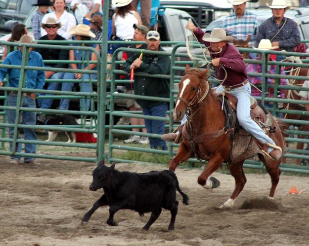 Calf Roping. Photo by Pinedale Online.