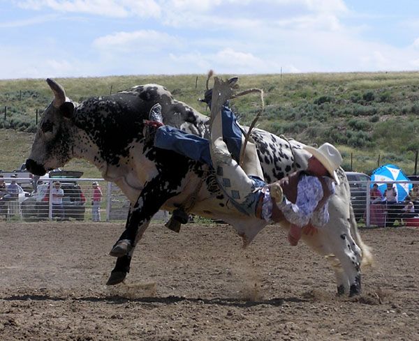 Headed for the ground. Photo by Pinedale Online.